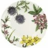 Spode Stafford Blooms 10.5in Dinner Plate Set Home -Spode Shop 3050232613 RLLD 1